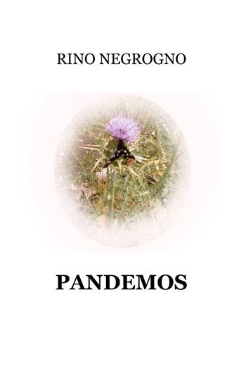 Pandemos - Rino Negrogno - Libro ilmiolibro self publishing 2020, La community di ilmiolibro.it | Libraccio.it