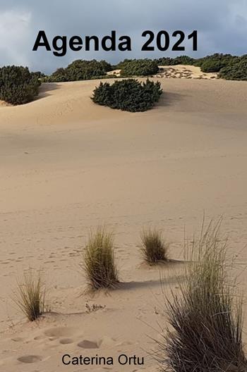 Agenda 2021 - Caterina Ortu - Libro ilmiolibro self publishing 2020, La community di ilmiolibro.it | Libraccio.it