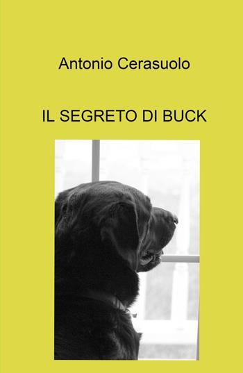 Il segreto di Buck - Antonio Cerasuolo - Libro ilmiolibro self publishing 2021, La community di ilmiolibro.it | Libraccio.it