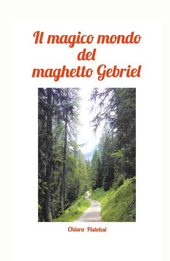 Il magico mondo del maghetto Gebriel - Chiara Pistolesi - Libro ilmiolibro self publishing 2021, La community di ilmiolibro.it | Libraccio.it