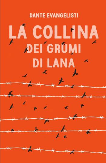 La collina dei grumi di lana - Dante Evangelisti - Libro ilmiolibro self publishing 2021, La community di ilmiolibro.it | Libraccio.it