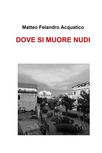Dove si muore nudi - Matteo Felandro Acquatico - Libro ilmiolibro self publishing 2021, La community di ilmiolibro.it | Libraccio.it