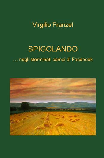 Spigolando... negli sterminati campi di Facebook - Virgilio Franzel - Libro ilmiolibro self publishing 2021, La community di ilmiolibro.it | Libraccio.it