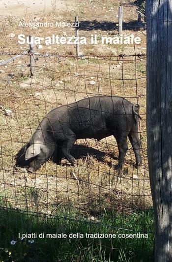 Sua altezza il maiale. I piatti di maiale della tradizione cosentina - Alessandro Molezzi - Libro ilmiolibro self publishing 2022, La community di ilmiolibro.it | Libraccio.it
