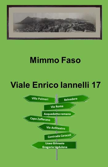 Viale Enrico Iannelli 17 - Domenico Faso - Libro ilmiolibro self publishing 2022, La community di ilmiolibro.it | Libraccio.it