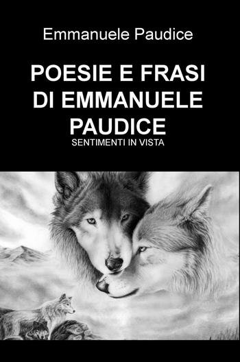 Poesie e frasi. Sentimenti in vista - Emmanuele Paudice - Libro ilmiolibro self publishing 2023, La community di ilmiolibro.it | Libraccio.it