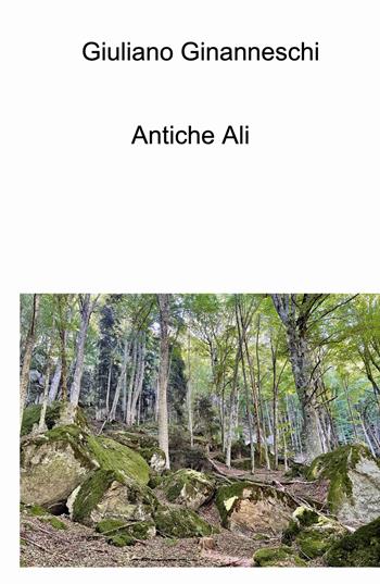 Antiche ali - Giuliano Ginanneschi - Libro ilmiolibro self publishing 2023, La community di ilmiolibro.it | Libraccio.it
