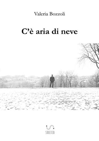C'è aria di neve - Valeria Bozzoli - Libro StreetLib 2018 | Libraccio.it