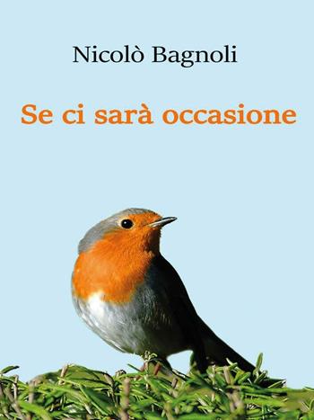 Se ci sarà occasione - Nicolò Bagnoli - Libro Youcanprint 2016, Youcanprint Self-Publishing | Libraccio.it