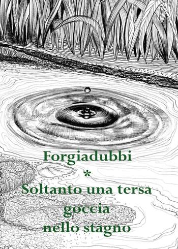 Soltanto una tersa goccia nello stagno - Forgiadubbi - Libro Youcanprint 2016, Youcanprint Self-Publishing | Libraccio.it
