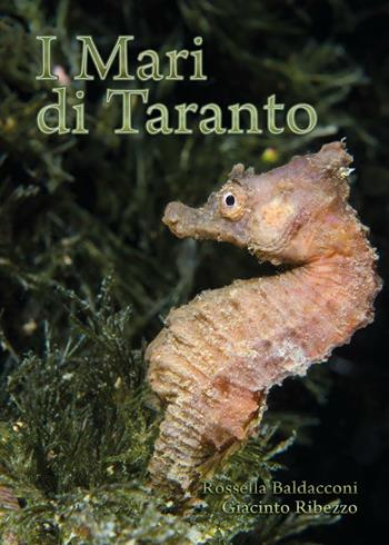I mari di Taranto - Rossella Baldacconi, Giacinto Ribezzo - Libro Youcanprint 2016, Youcanprint Self-Publishing | Libraccio.it