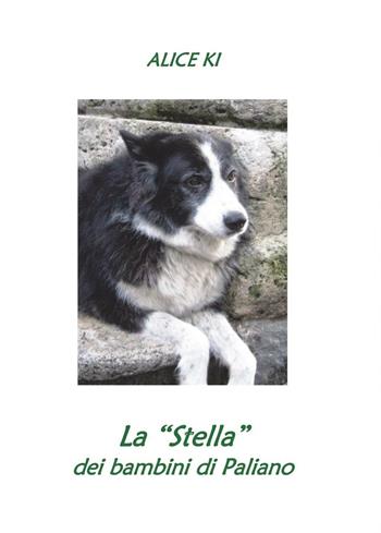 La "Stella" dei bambini di Paliano - Alice Ki - Libro Youcanprint 2016, Youcanprint Self-Publishing | Libraccio.it