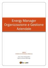 Energy manager. Organizzazione e gestione aziendale