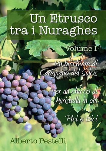 Un etrusco tra i nuraghes. Vol. 1 - Alberto Pestelli - Libro Youcanprint 2016, Youcanprint Self-Publishing | Libraccio.it