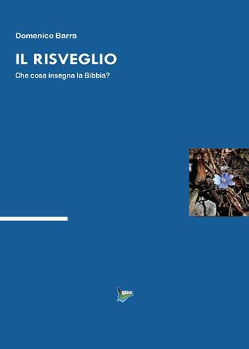 Il risveglio - Domenico Barra - Libro Youcanprint 2016, Youcanprint Self-Publishing | Libraccio.it