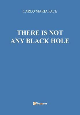 There is not any black hole - Carlo Maria Pace - Libro Youcanprint 2016, Youcanprint Self-Publishing | Libraccio.it