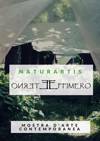 Naturartis. Eterno effimero. Cultura e ambiente. Catalogo della mostra (Solbiate Olona, 14-21 maggio 2017). Ediz. illustrata - Simona Mamone - Libro Youcanprint 2018, Youcanprint Self-Publishing | Libraccio.it