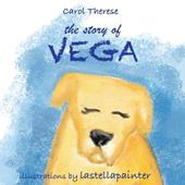 The story of Vega