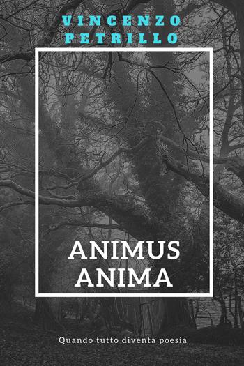 Animus anima. Quando tutto diventa poesia - Vincenzo Petrillo - Libro Youcanprint 2017, Youcanprint Self-Publishing | Libraccio.it