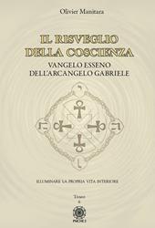 Vangelo esseno dell'arcangelo Michele. Vol. 6: Il risveglio della coscienza