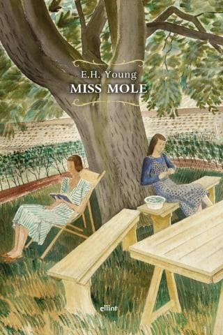 Miss Mole - Emily Hilda Young - Libro Elliot 2023, Raggi | Libraccio.it