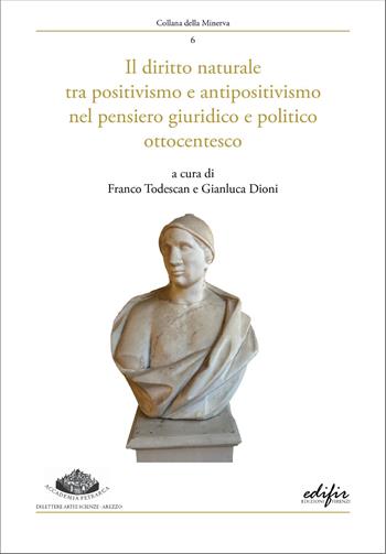 Il diritto naturale tra positivismo e antipositivismo nel pensiero giuridico e politico ottocentesco  - Libro EDIFIR 2026, Collana della Minerva | Libraccio.it