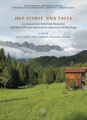 Due storie, una valle. La transizione Antichità-Medioevo nell'Alta Valle del Tagliamento attraverso l'archeologia