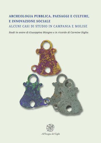 Archeologia pubblica, paesaggi e culture, e innovazione sociale. Alcuni casi di studio in Campania e Molise. Studi in onore di Giuseppina Bisogno e in ricordo di Carmine Diglio  - Libro All'Insegna del Giglio 2022 | Libraccio.it