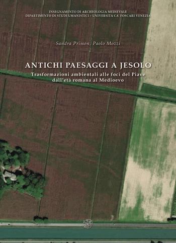 Antichi paesaggi a Jesolo. Trasformazioni ambientali alle foci del Piave dall’età romana al Medioevo. Ediz. italiane e inglese - Sandra Primon, Paolo Mozzi - Libro All'Insegna del Giglio 2023 | Libraccio.it