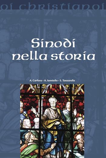 Sinodi nella storia - Anna Carfora, Antonio Ianniello, Sergio Tanzarella - Libro Il Pozzo di Giacobbe 2025, Oi christianoi. Sezione moderna e contemporanea | Libraccio.it