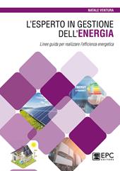 L'esperto in gestione dell’energia. Linee guida per realizzare l’efficienza energetica