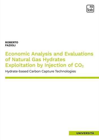 Economic analysis and evaluations of natural gas hydrates exploitation by injection of CO2. Hydrate–based carbon capture technologies - Roberto Fazioli - Libro tab edizioni 2024 | Libraccio.it