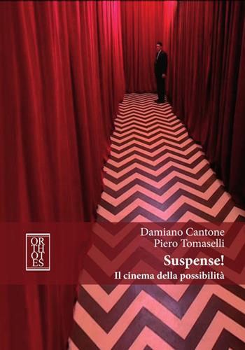 Suspense! Il cinema della possibilità - Damiano Cantone, Piero Tomaselli - Libro Orthotes 2016, Ricercare | Libraccio.it