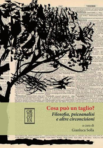 Cosa può un taglio? Filosofia, psicoanalisi e altre circoncisioni - Gianluca Solla - Libro Orthotes 2016, Phi/psy | Libraccio.it