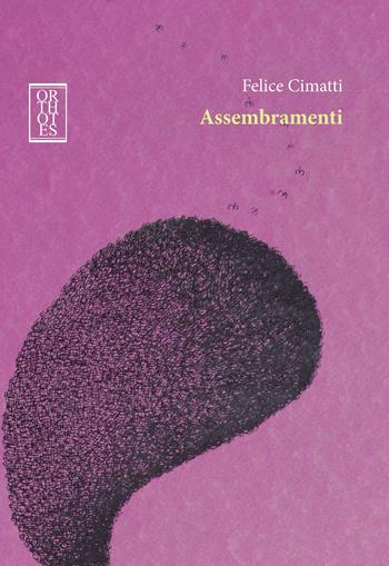 Assembramenti - Felice Cimatti - Libro Orthotes 2022, Falsi raccordi | Libraccio.it