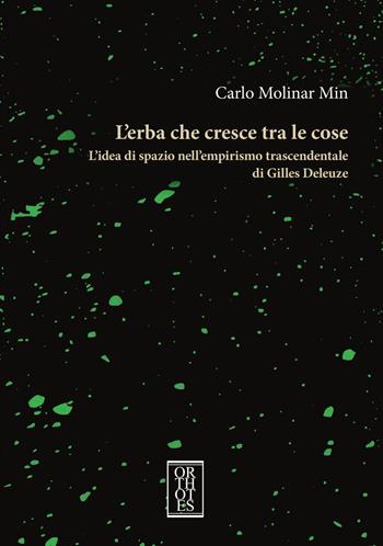 L'erba che cresce tra le cose. L'idea di spazio nell'empirismo trascendentale di Gilles Deleuze - Carlo Molinar Min - Libro Orthotes 2024, Studia humaniora | Libraccio.it
