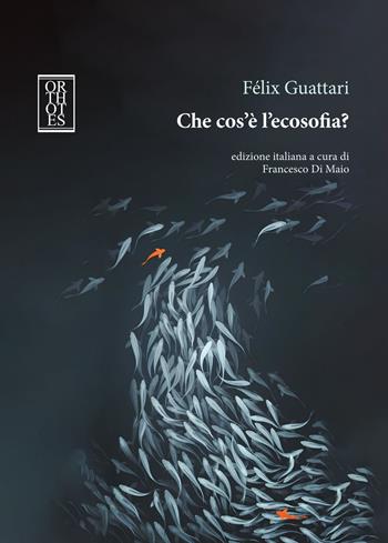 Che cos'è l'ecosofia? - Félix Guattari - Libro Orthotes 2025, Ecologia politica | Libraccio.it