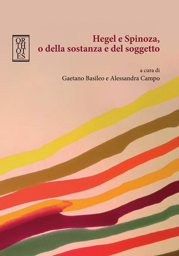 Hegel e Spinoza, o della sostanza e del soggetto  - Libro Orthotes 2025, Germanica | Libraccio.it