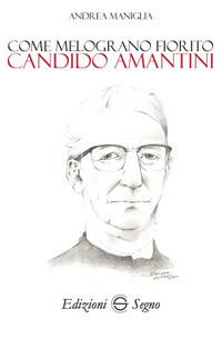 Come melograno fiorito. Candido Amantini - Andrea Maniglia - Libro Edizioni Segno 2017 | Libraccio.it