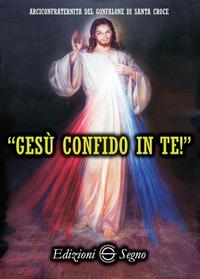 Gesù confido in te! Le preghiere della divina misericordia - Michele Sopocko - Libro Edizioni Segno 2017 | Libraccio.it