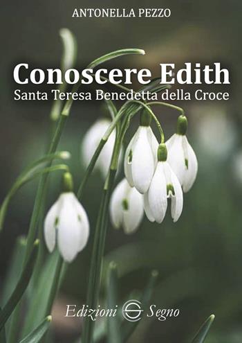 Conoscere Edith. Santa Teresa Benedetta della Croce - Antonella Pezzo - Libro Edizioni Segno 2023 | Libraccio.it