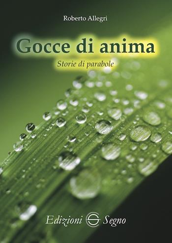 Gocce di anima. Storie di parabole - Roberto Allegri - Libro Edizioni Segno 2023 | Libraccio.it