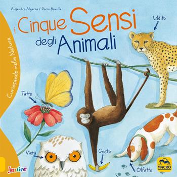 I cinque sensi degli animali. Curiosando nella natura. Ediz. a colori - Alejandro Algarra, Rocio Bonilla - Libro Macro Junior 2018 | Libraccio.it