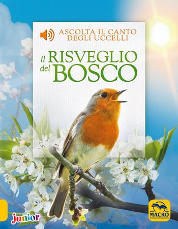 Il risveglio del bosco - Andrea Pinnington, Caz Buckingham - Libro Macro Junior 2018 | Libraccio.it