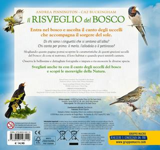Il risveglio del bosco - Andrea Pinnington, Caz Buckingham - Libro Macro Junior 2018 | Libraccio.it