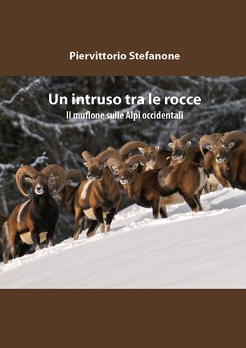Un intruso tra le rocce - Piervittorio Stefanone - Libro Youcanprint 2018 | Libraccio.it