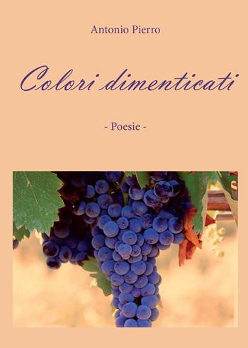 Colori dimenticati - Antonio Pierro - Libro Youcanprint 2015, Poesia | Libraccio.it