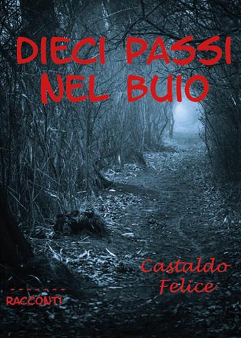 Dieci passi nel buio - Felice Castaldo - Libro Youcanprint 2015, Narrativa | Libraccio.it