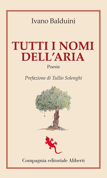 Tutti i nomi dell'aria - Ivano Balduini - Libro Compagnia Editoriale Aliberti 2024, I libri della Salamandra | Libraccio.it