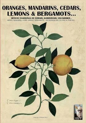 Oranges, mandarins, cedars, lemons & bergamots... Artistic engravings of Ferrari, Aldovrandi, Volckhamer... - Luca S. Cristini - Libro Soldiershop 2016, Darwin's view | Libraccio.it